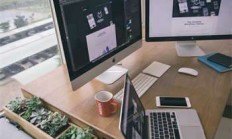 探秘五指山下的天涯社区：这里用户稳如泰山yyds！