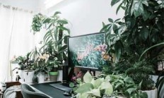 苏州论坛与天涯社区：网络碰撞的火花